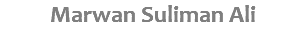 Marwan Suliman Ali