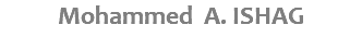 Mohammed A. ISHAG